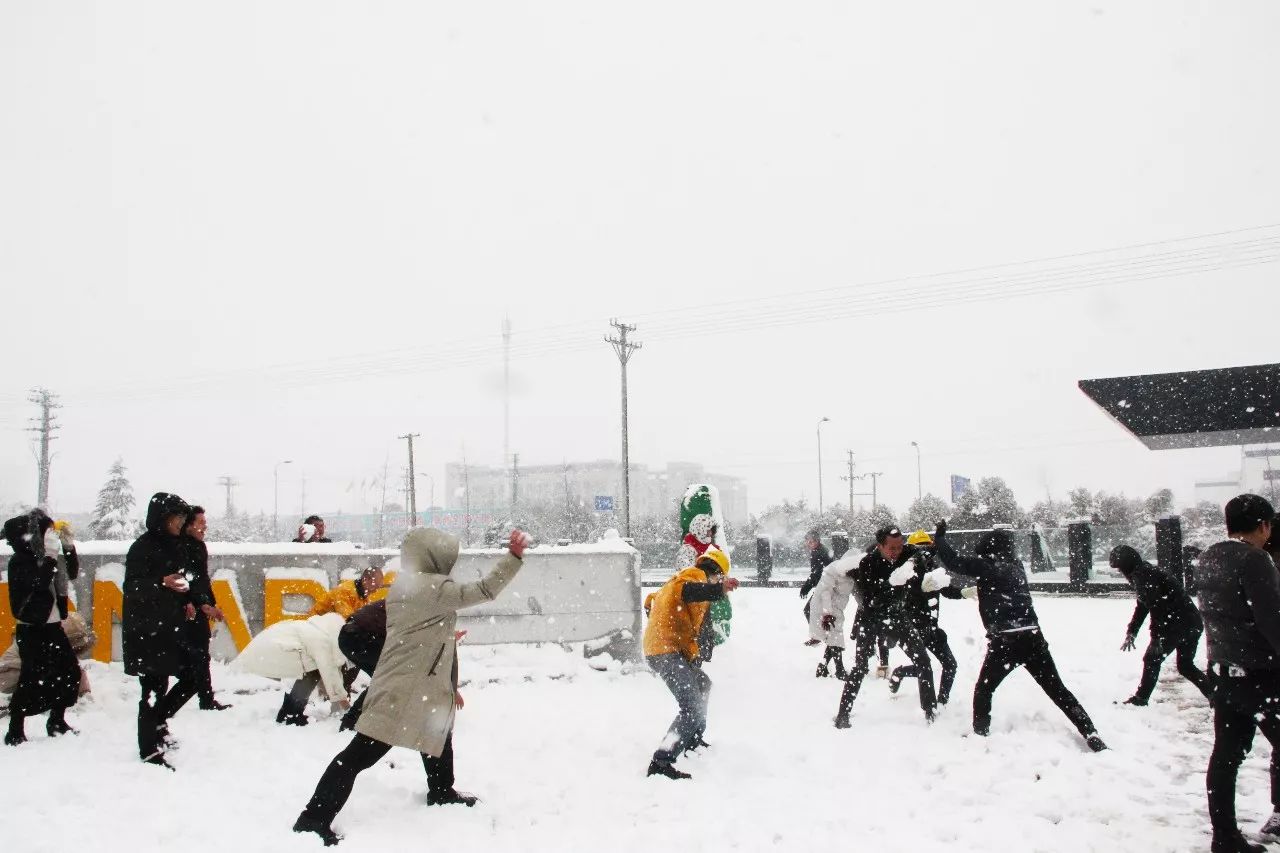 k8凯发(中国)天生赢家·一触即发